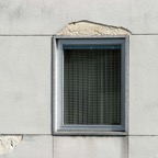 IMG_2949