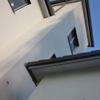 IMG_8321