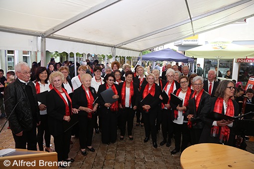 Volkschor G&uuml;ssing / Leitung Karl Mandl