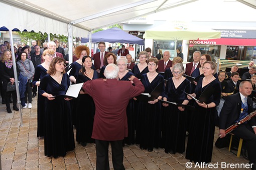 Stadtchor G&uuml;ssing / Leitung Prof. Walter Franz