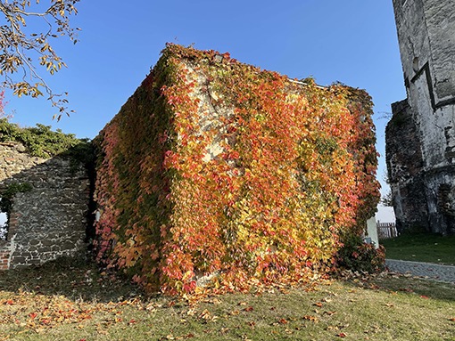 30. 10. 2021