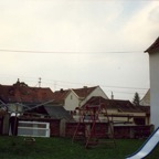 1989-007