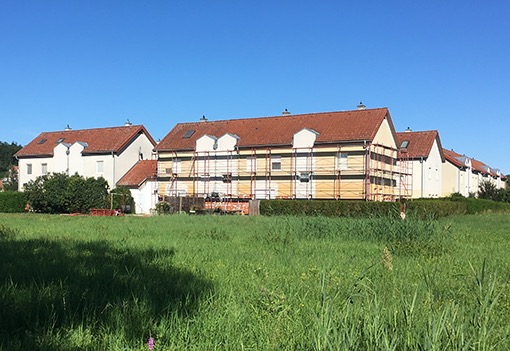 20. 08. 2020 Ger&uuml;st wird aufgestellt