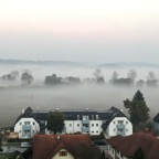 IMG_6345