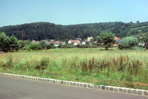 1984-003