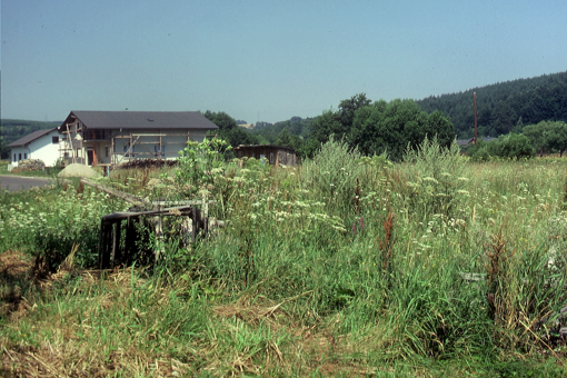1984-005