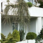 wha_lockenhaus_2001_05_19-44