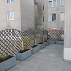 IMG_3485