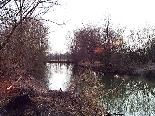 27. 03. 1998