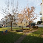IMG_2795.png